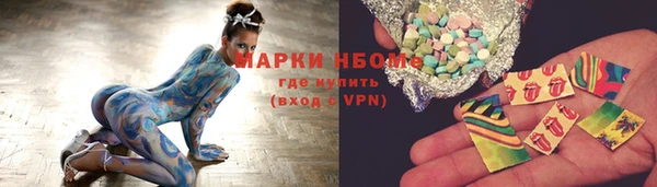 гашик Бикин