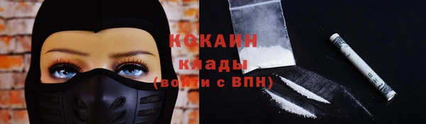 ГАЛЛЮЦИНОГЕННЫЕ ГРИБЫ Михайлов