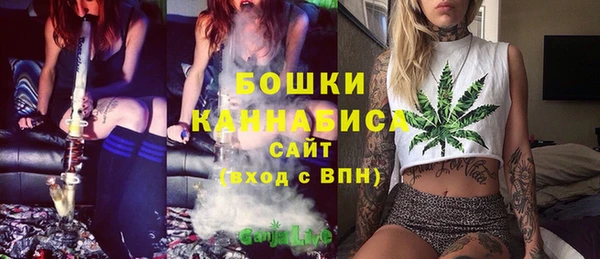 PSILOCYBIN Абаза
