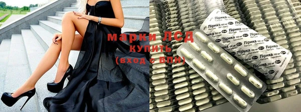 ГАЛЛЮЦИНОГЕННЫЕ ГРИБЫ Михайлов