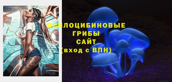 PSILOCYBIN Абаза