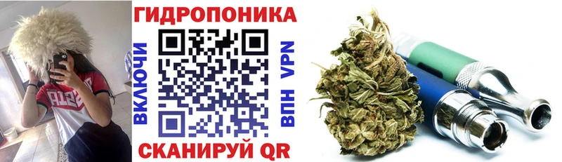 Бошки Шишки гибрид  даркнет как зайти  Старый Крым  hydra  